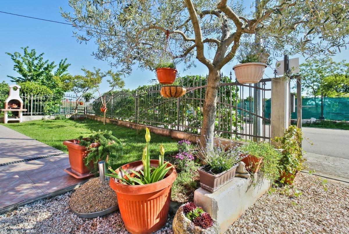 Lorena Apartments أوماغ المظهر الخارجي الصورة